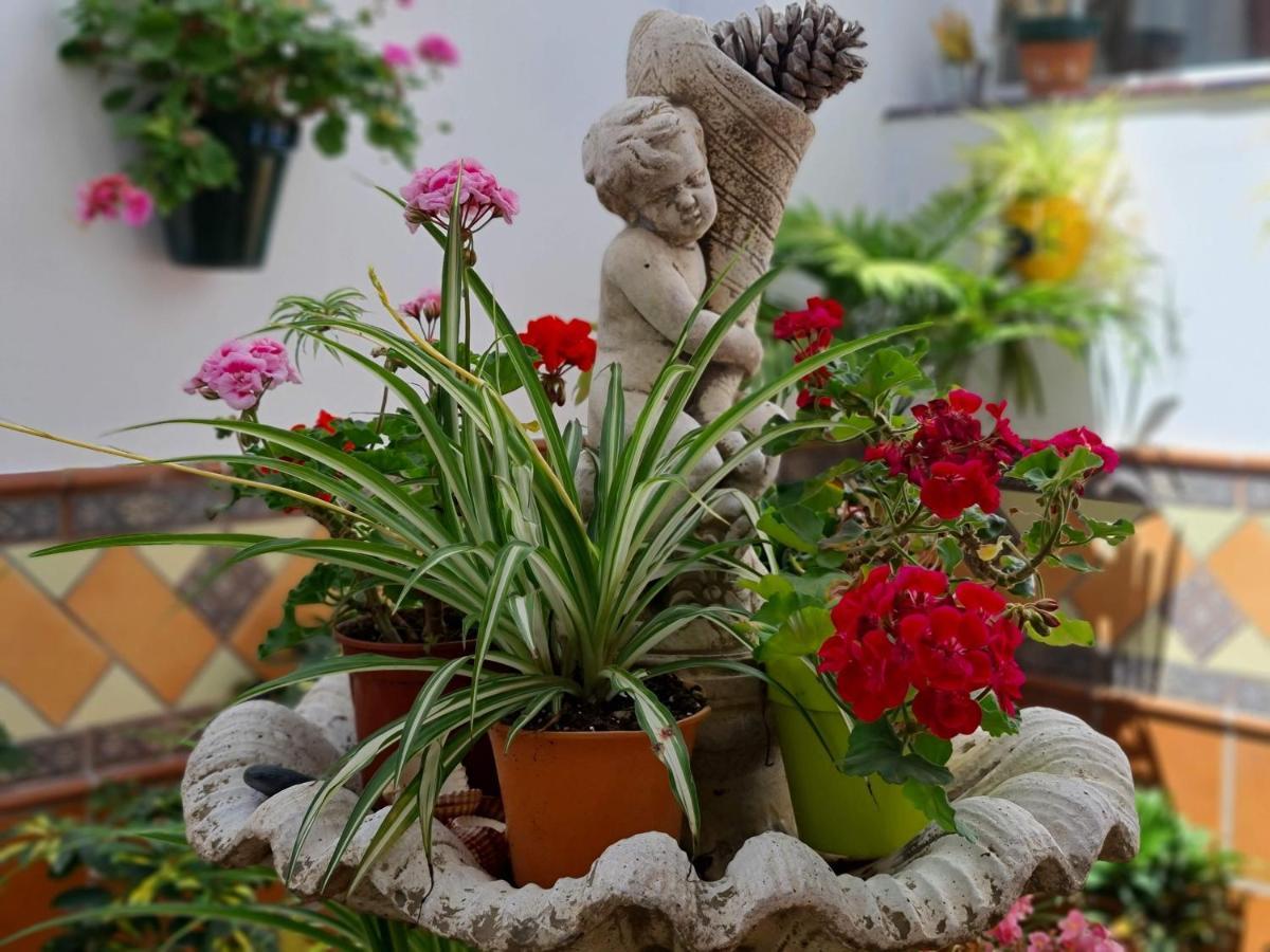 Apartamentos El Barrio Nerja Kültér fotó